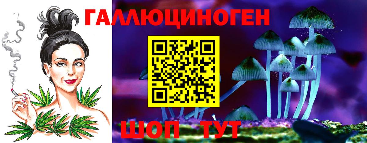 Кириши  Псилоцибиновые грибы прущие грибы  Вход с VPN 